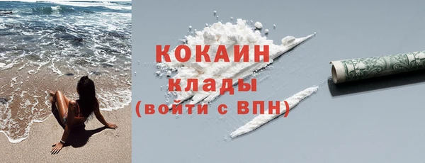 шишки Приозерск