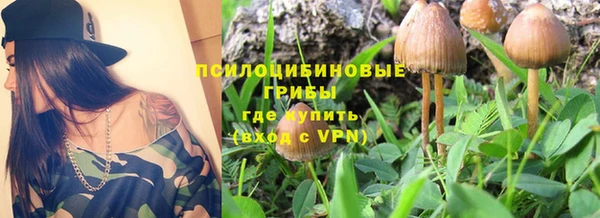 эйфоретик Ростов