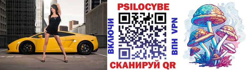 Купить где  Крымск  Галлюциногенные грибы Psilocybine cubensis 